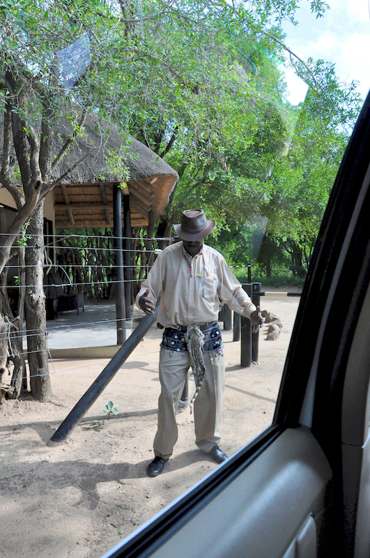 Melanie Heinrich - travel images - Lion Sands Private game reserver Hazyview